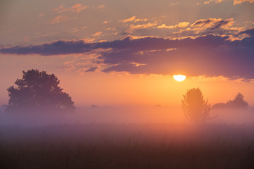 The foggy field on the background of sunset