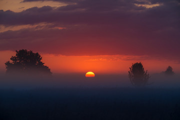 Fototapeta na wymiar The foggy field on the background of sunset