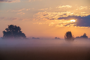 The foggy field on the background of sunset