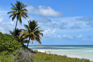 Fototapeta na wymiar keys Island - Bahia Honda beach, Florida