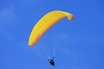 Paraglider