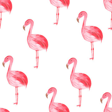 Watercolor tropical seamless pattern with pink flamingoes