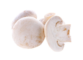 Champignon mushroom isolated on white background