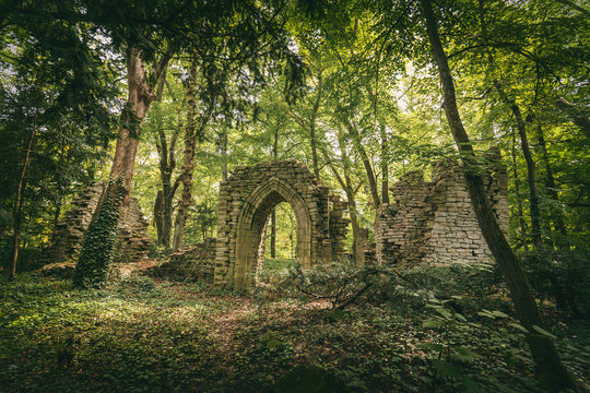 Ruins in the forest