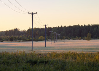 An old telephone wires on a field during late night sun. The sunset is coloring the environment.