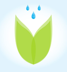 Icon irrigation