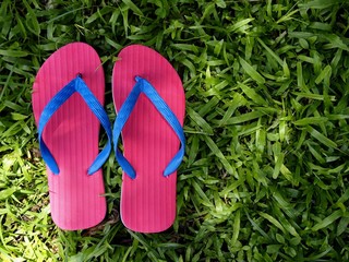 Colorful Slippers or Flip Flops