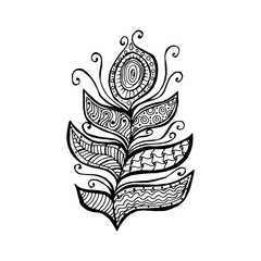 Decorative line art doodle style tribal peacock feather