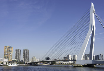 Fototapeta na wymiar Erasmusbridge in the port of Rotterdam city in Holland