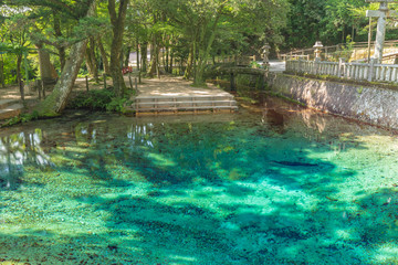 Naklejka premium 別府弁天池