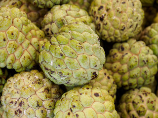 Atis(Sugar Apple) - Tropical fruit