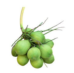 Aromatic green coconut or fragrant coconut isolated over white