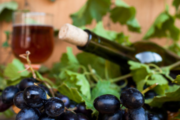 Grapes