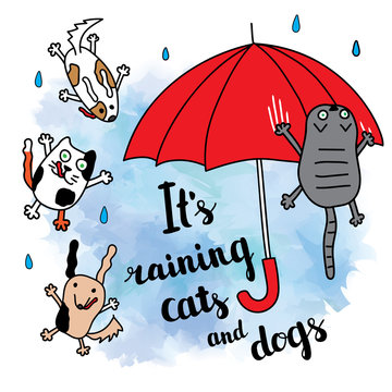 "It's raining cats and dogs" autumn card.