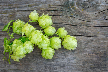 bunch of hop on a wooden table with copy space