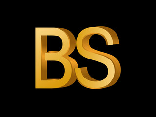 BS Initial Logo for your startup venture