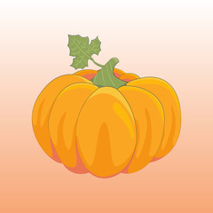 Kürbis - Clipart (Orange)