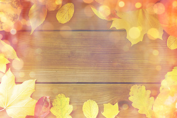 Naklejka na ściany i meble frame of many different fallen autumn leaves