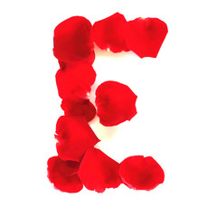 Alphabet letter E made from red petals rose isolated on a white