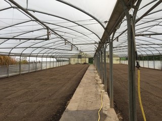 Verlassene Gärtnerei