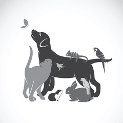 Vector group of pets - Dog, cat, parrot, chameleon, rabbit, butt