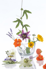Natural herb and flower selection used in herbal medicine