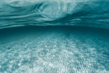 Fototapeta Underwater obraz