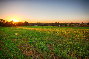 Obraz premium Green Field and Beautiful Sunset