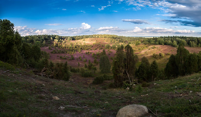 Totengrund in der Lüneburger Heide