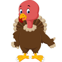 turkey bird cartoon