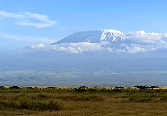 Foto op Canvas Amboseli National Park © kyslynskyy