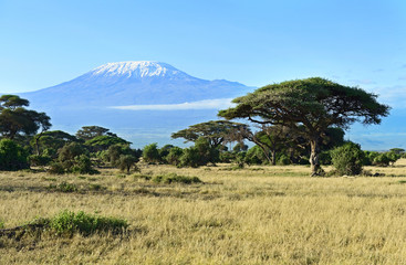 African savanna in Kenya