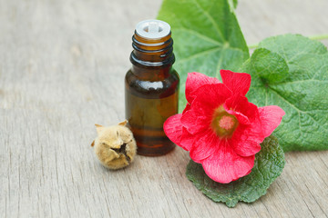 mallow essential oil container