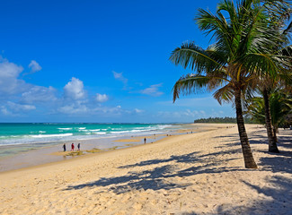 Picturesque coast Diani