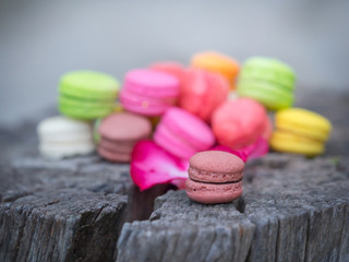 Colorful macaroon