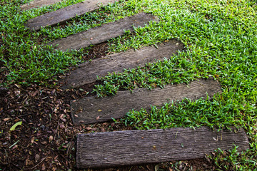 Pathway in garden