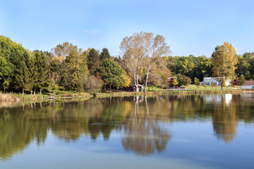 Fototapeta premium trees on the shore of the lake