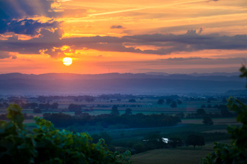 Sommermorgen im Kaiserstuhl