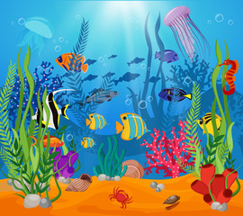 Fototapeta na wymiar Sea Life Animals Plants Composition