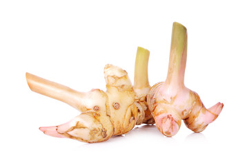 Fresh galangal isolated on white background.
