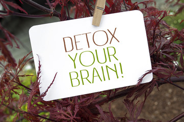 Roter japanischer Ahorn mit Detox your brain