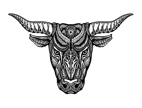 Ethnic ornamented bull, ox or minotaur, taurus. Vector illustration
