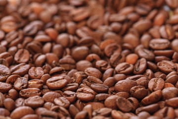 coffee beans photo, coffee beans, coffee background, coffee pattern, coffee grains, coffee sale, roasted coffee, brown coffee, coffee wallpaper, coffee macro