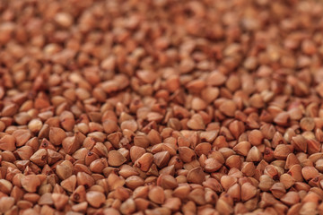 raw buckwheat photo, buckwheat grains, raw buckwheat, dry buckwheat, buckwheat background, brown buckwheat, organic buckwheat, vegan food
