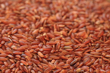 red rice, rice photo, raw rice, unpolished rice, dry rice, rice background, rice pattern, asian rice, brown rice, red rice photo