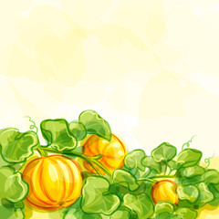 Vector background with pumpkins