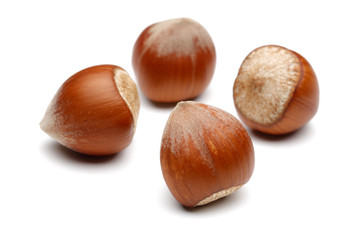 Hazelnuts 