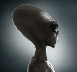 alien © adimas