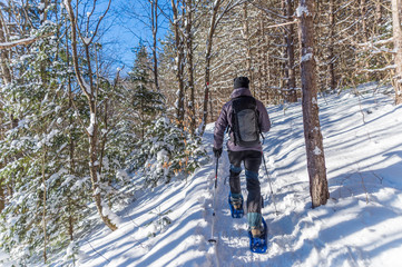 Naklejka premium Young man snowshoeing in winter, in the Quebec eastern townships