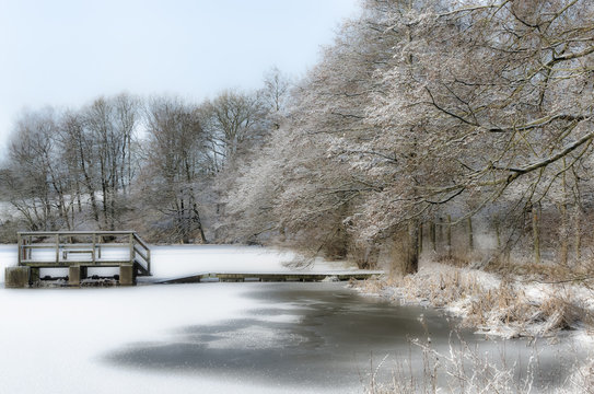 Frozen pond, Skane County, Sweden 